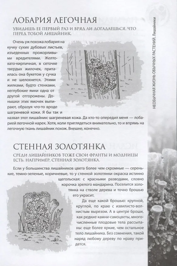 Книга Необычная жизнь обычных растений () — 7
