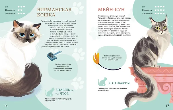 Книга Все-все-все домашние питомцы (Алтея Вилла) — 13