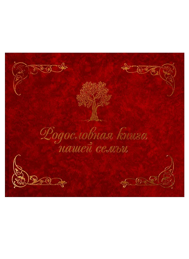 Книга Родословная книга нашей семьи (Динара Кондахсазова) — 1