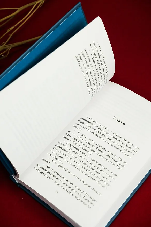 Книга Рабыня Изаура (Бернарду Гимарайнш) — 19