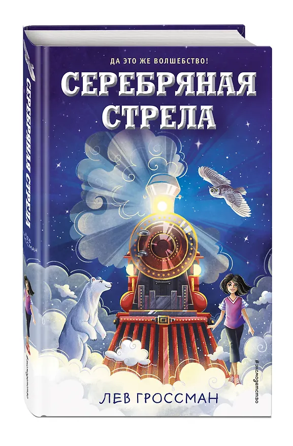 Книга Серебряная Стрела (Лев Гроссман) — 5