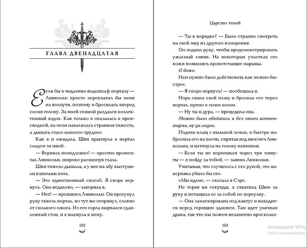 Книга Царство теней (#2) (Лея Стоун) — 9