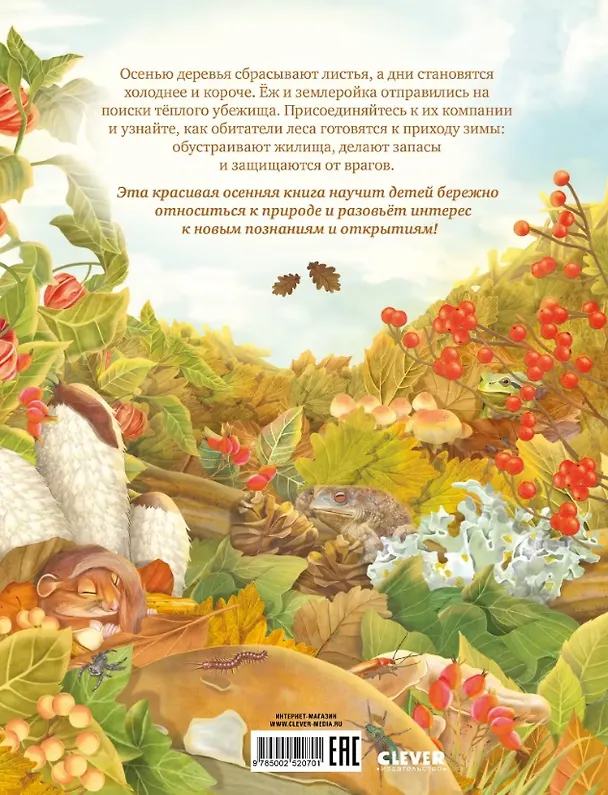 Книга Секреты осеннего леса. Визуальная энциклопедия (Яна Вальчик) — 2