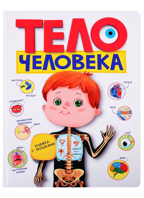 Книга Тело человека. Книжка с окошками () — 1