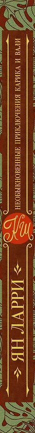 Книга Необыкновенные приключения Карика и Вали (Ян Ларри) — 3