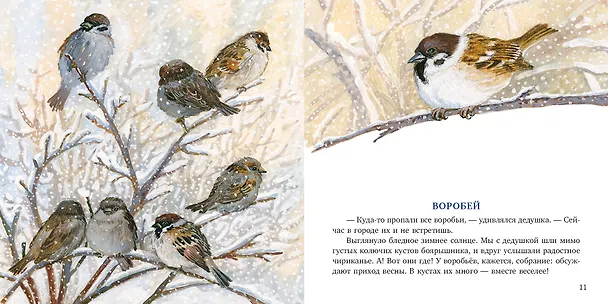 Книга Птицы за окном. Сборник рассказов () — 5