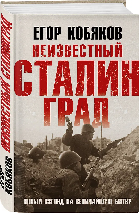 Книга Неизвестный Сталинград. Новый взгляд на величайшую битву (Егор Кобяков) — 4