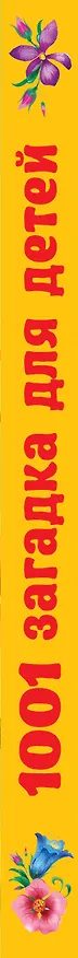 Книга 1001 загадка для детей (Владимир Лысаков) — 3
