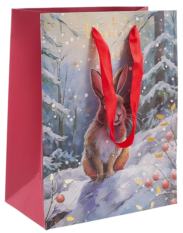 Пакет А5 23*18*10 "Зайка. Winter times" НГ, бум.мат.ламинат 3103113 — 3