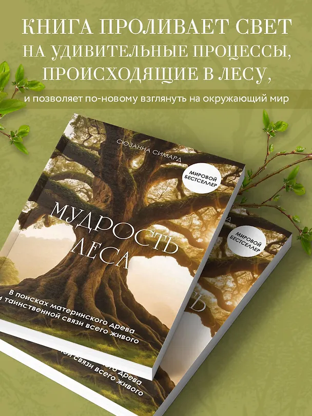 Книга Мудрость леса. В поисках материнского древа и таинственной связи всего живого (Сюзанна Симард) — 9