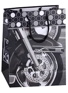 Пакет бумажный, ламинированный, 26*32см