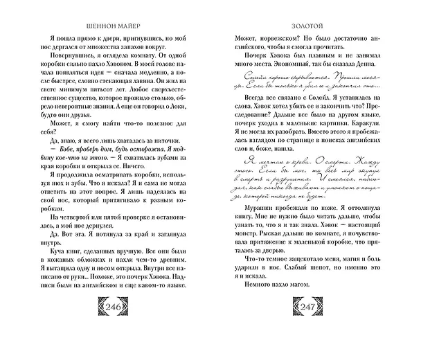 Книга Золотой (#1) (Шеннон Майер) — 11