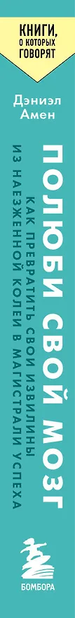 Книга Полюби свой мозг. Как превратить свои извилины из наезженной колеи в магистрали успеха (Дэниэл Дж. Амен) — 3
