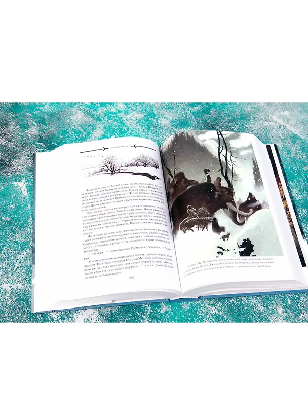 Книга Буря мечей. Том 1 (Джордж Р.Р. Мартин) — 5
