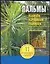 Пальмы. Выбираем, выращиваем, ухаживаем. — 2036711 — 1