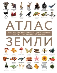 Атлас Земли. Животные, растения, грибы, бактерии, минералы и другие сокровища нашей планеты