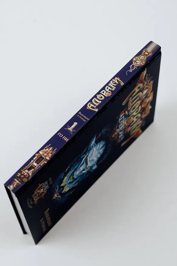 Книга Адораки. Выживший в руинах (Го Ни) — 11