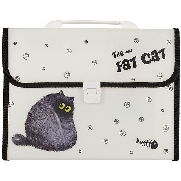 Папка -портфель пластиковый «Fat cat» А4, 12 отделений 250909 — 1