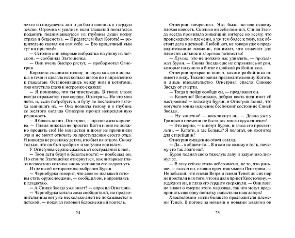 Книга Бушующая стихия (Эрин Хантер) — 12