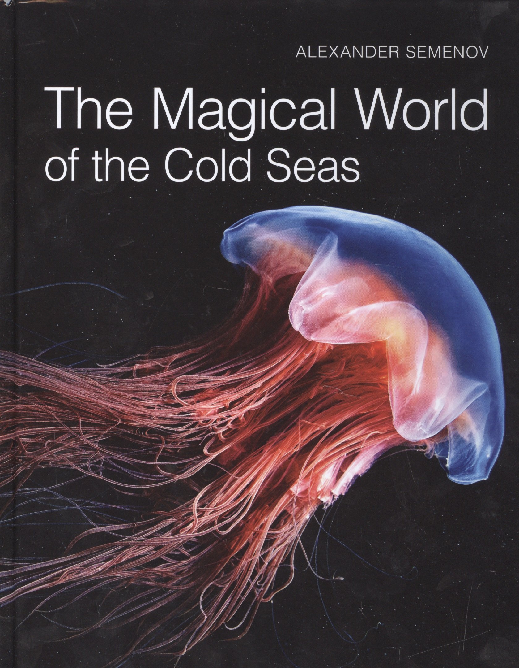 

The Magical World of the Cold Seas