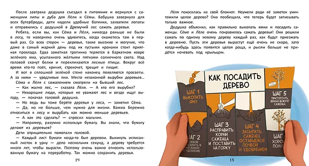 Книга Как спасти лес? (Екатерина Аксенова) — 5