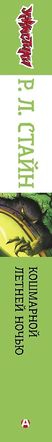 Книга Кошмарной летней ночью (Роберт Стайн) — 3