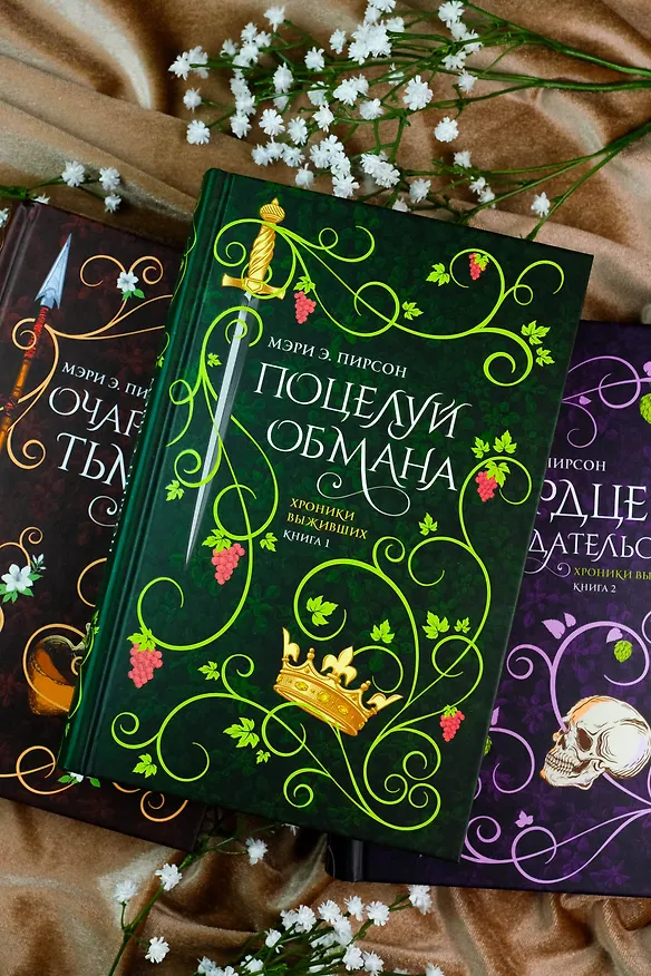 Книга Сердце предательства (Мэри Э. Пирсон) — 12