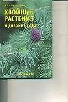 Книга Хвойные растения в дизайне сада (Майя Александрова)