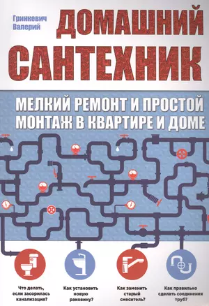 Домашний сантехник (мелкий ремонт и простой монтаж в квартире и доме) — 2502552 — 1