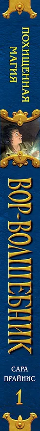 Книга Вор-волшебник. Похищенная магия (#1) (Сара Прайнис) — 3