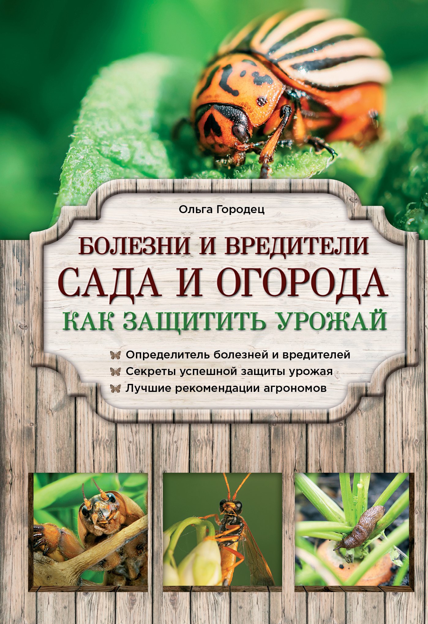 

Болезни и вредители сада и огорода Как защитить урожай (мАзбСад) Городец