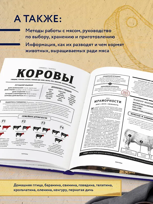 Книга Мясо. Полное руководство: на ферме, у мясника, на кухне (оф. синее с золотом) (Энтони Пухарич) — 6