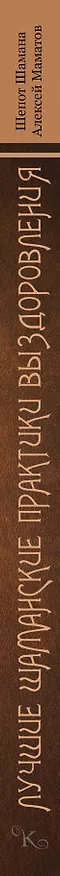 Книга Лучшие шаманские практики выздоровления (2-ое издание) (Алексей Маматов) — 3