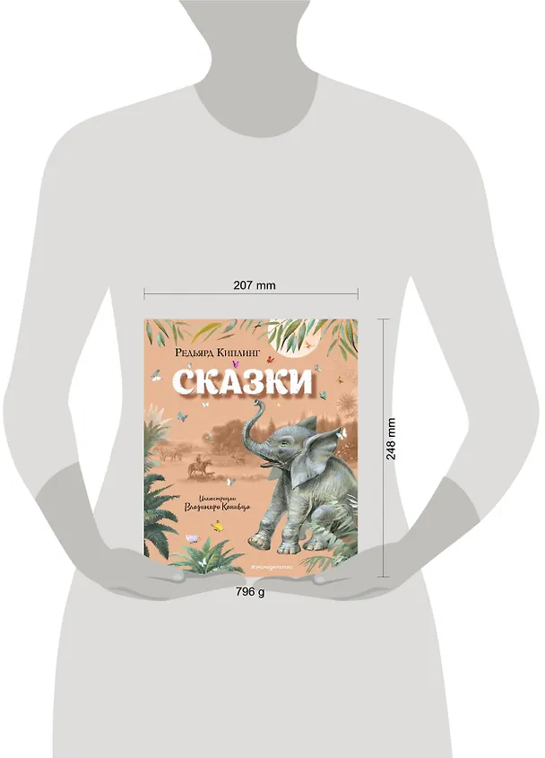 Книга Сказки (ил. В. Канивца) (Редьярд Киплинг) — 12