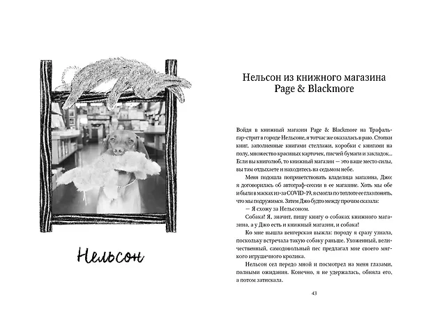 Книга Собаки книжного магазина на краю света (Рут Шоу) — 18