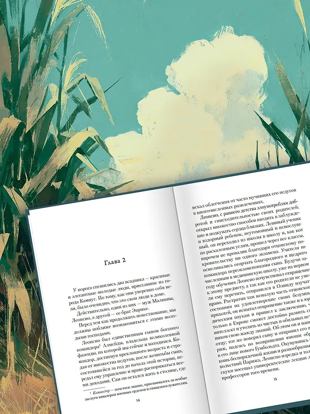 Книга Рабыня Изаура (Бернарду Гимарайнш) — 9