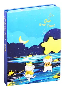 Блокнот с фигурной магнитной застежкой-звездочкой Кот со звездой (256стр) (13х19)