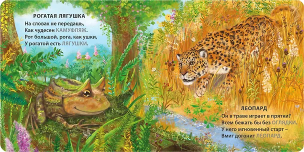 Книга Животные - невидимки. Загадки-рифмы (Евгений Сосновский) — 4