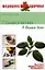 Гомеопатия в вашем доме (Медицина + здоровье). Мальцева Н. (Вече) — 2142190 — 2