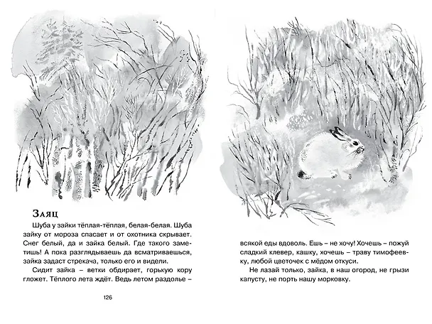 Книга Друзья (Евгений Чарушин) — 12