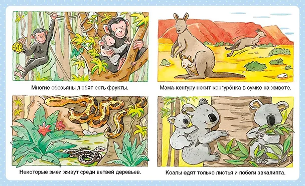 Книга Животные (Эмили Бомон) — 6