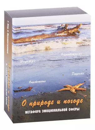 О природе и погоде. Метафора эмоциональной сферы. Метафорические карты — 2725785 — 1