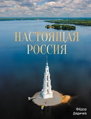 Книга Настоящая Россия (Федор Дядичев)