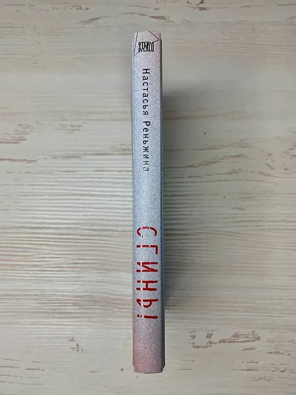 Книга Сгинь!: роман (Настасья Реньжина) — 17