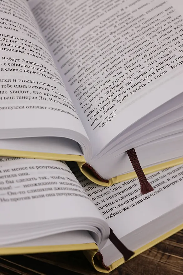 Книга Унесенные ветром т. 2 (Маргарет Митчелл) — 13