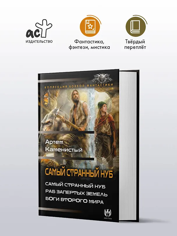 Книга Самый странный нуб (Артём Каменистый) — 5