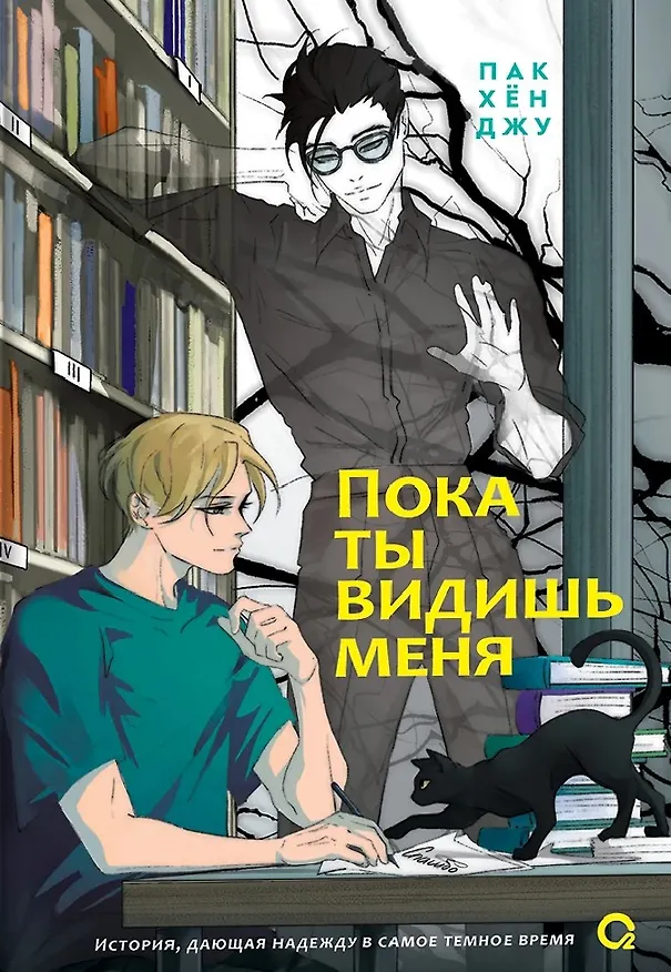 Книга Пока ты видишь меня (Пак Хён Джу) — 1