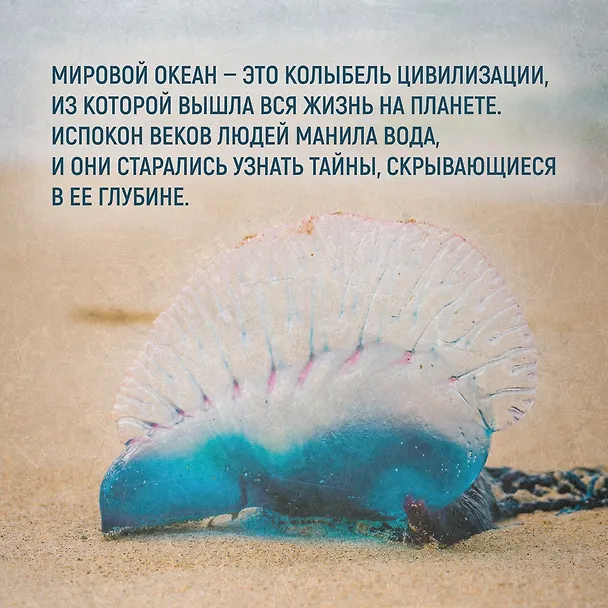 Книга Тайны морей и океанов. Большая иллюстрированная энциклопедия (Франческо Мило) — 8