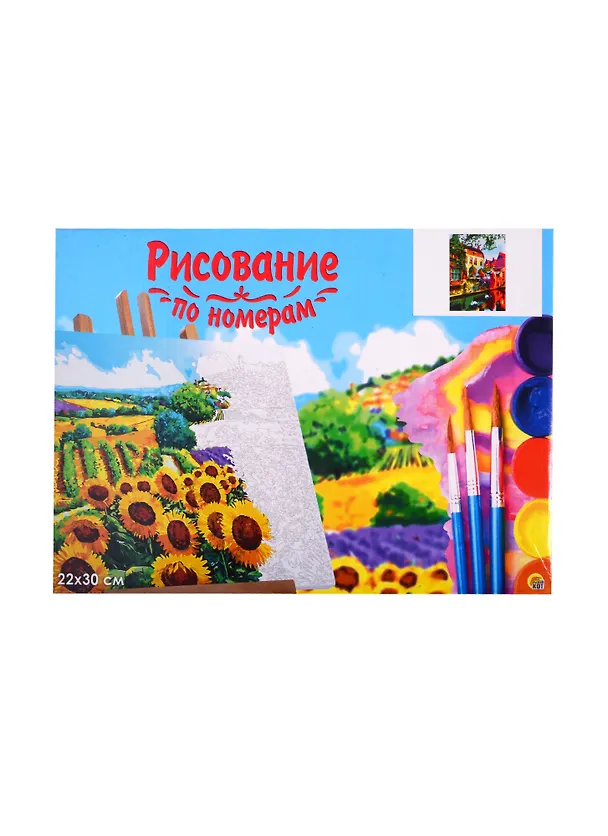Набор для раскрашивания по номерам ТМ Рыжий Кот Холст с красками 22х30см Красивая европейская набережная (Арт. HS232) 2809188 — 2