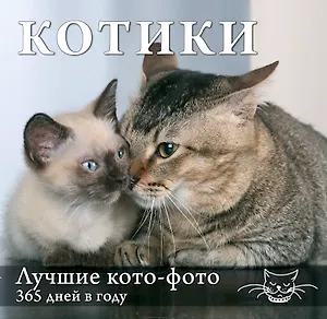 Котики. Лучшие кото-фото. 365 дней в году